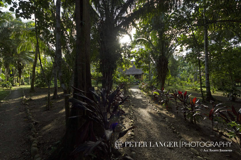 %_tempFileNamejunglelodges001%