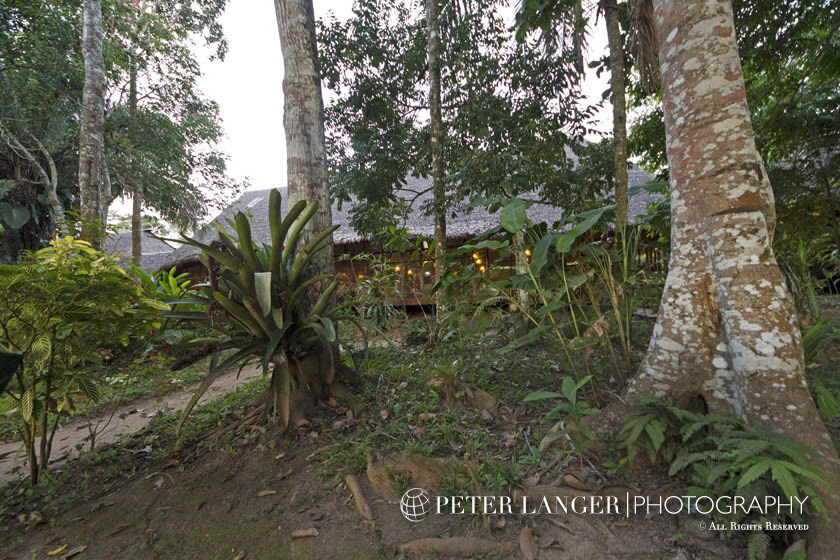 %_tempFileNamejunglelodges010%