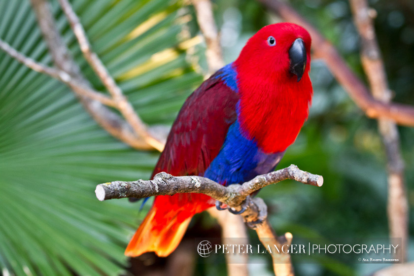 %_tempFileNamepets018%