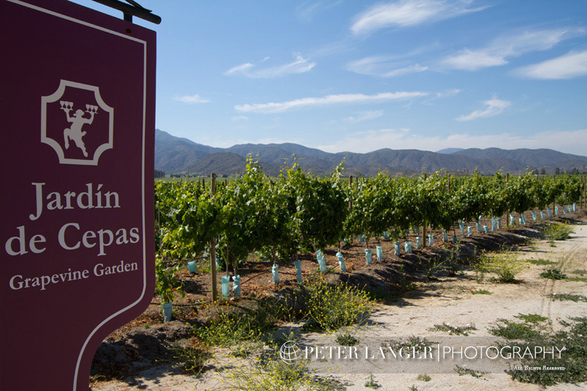 %_tempFileNamewine015%