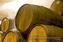 %_tempFileNametequila008%