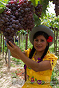 %_tempFileNamewine028%
